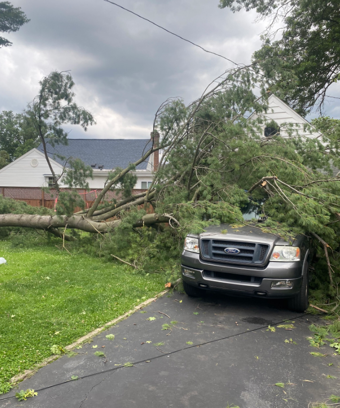 A ford truck is parked in a driveway next to a fallen tree.