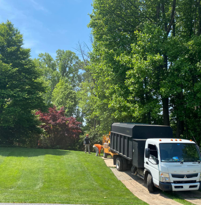 A dump truck is parked in a lush green yard