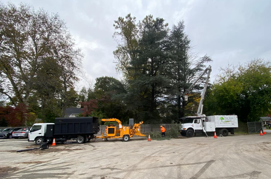 A lot of trucks are parked in a lot with trees in the background.