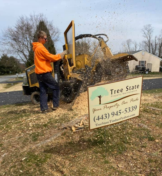 A tree stump grinder is being used to remove a tree