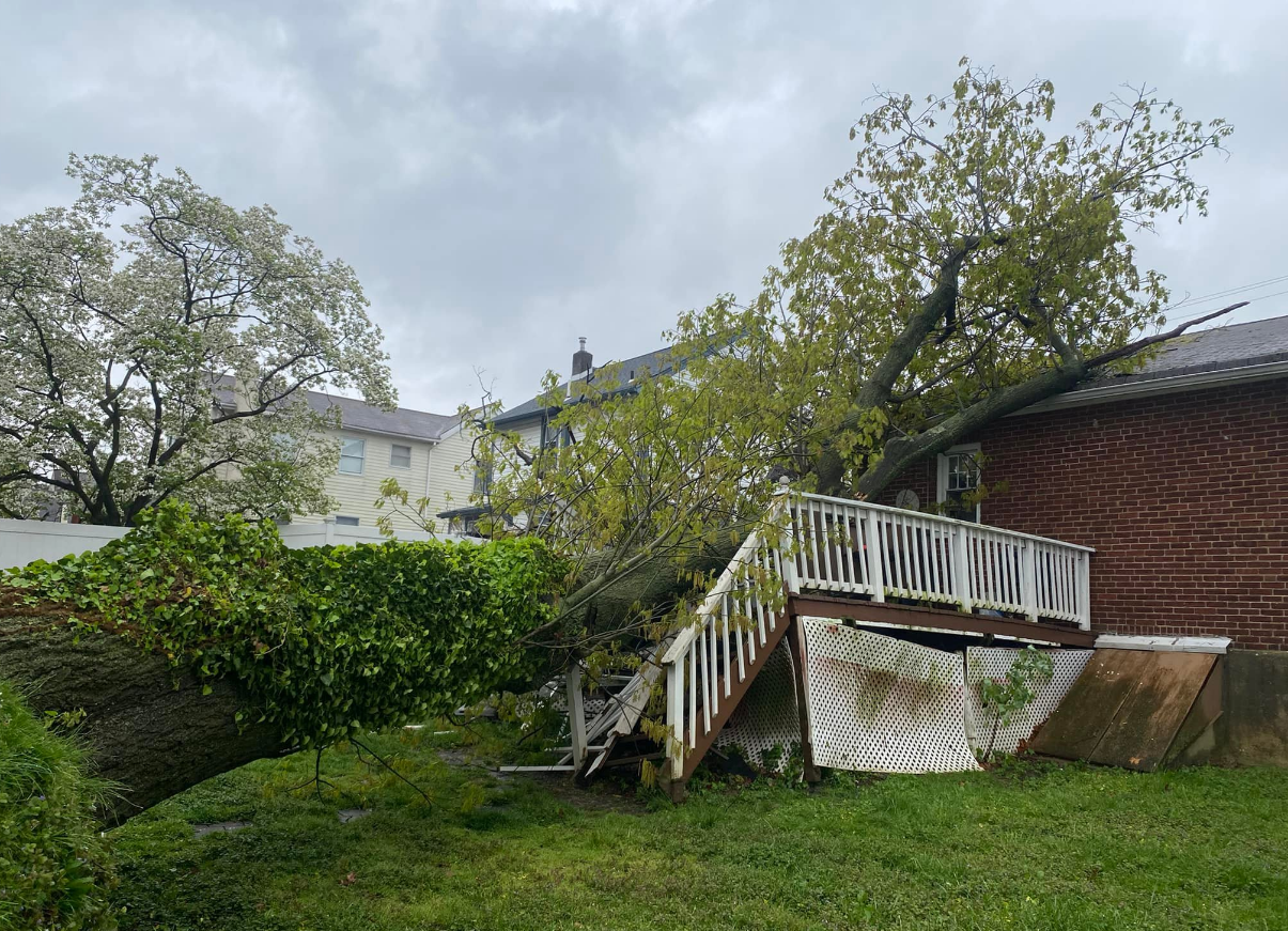 A tree has fallen on a deck in the backyard of a house.