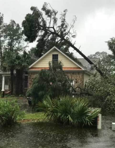 A house with a fallen tree in front of it