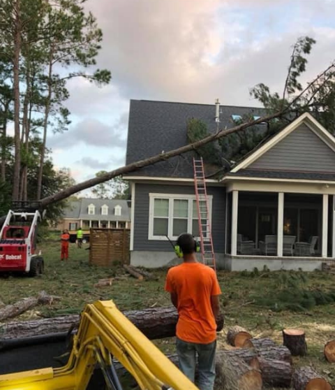A man in an orange shirt is standing in front of a house with a tree fallen on it