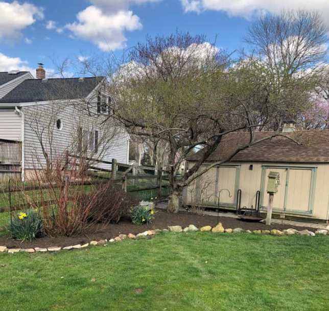 A lush green yard with a fence and a house in the background.