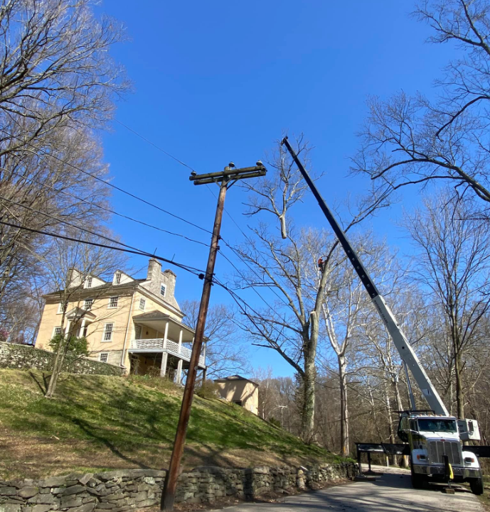 A crane is cutting down a tree in front of a house.
