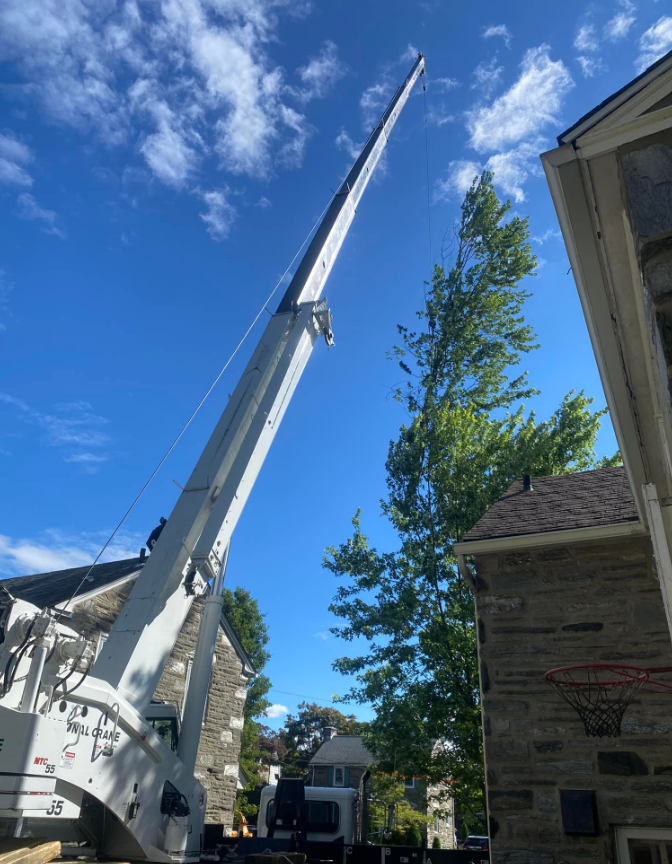 A crane is cutting a tree in front of a house.