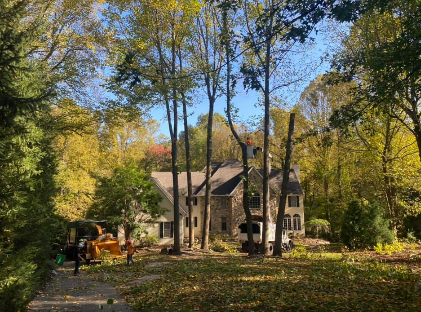 A large house is surrounded by trees on a sunny day.