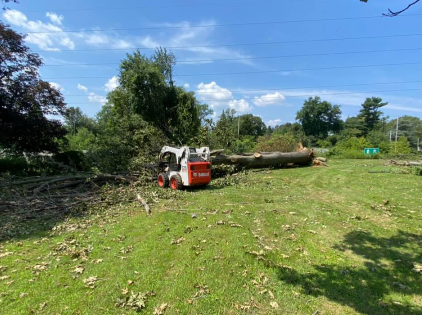 A truck with a crane on top of it is cutting a tree.