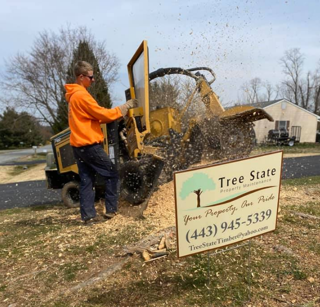A man is using a machine to remove a tree stump next to a tree state sign