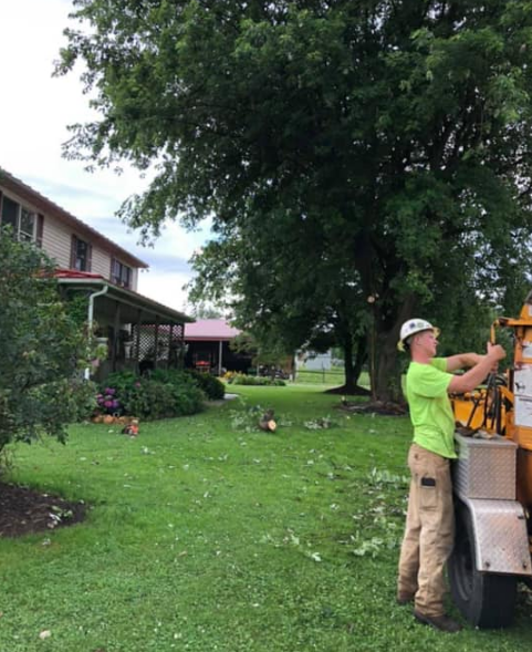 A man is standing next to a tree stump grinder in a yard.