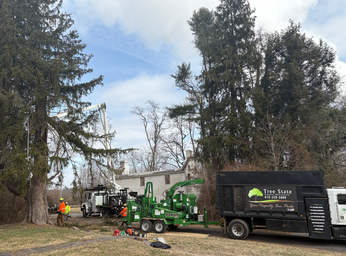 A tree cutting truck is parked in front of a house