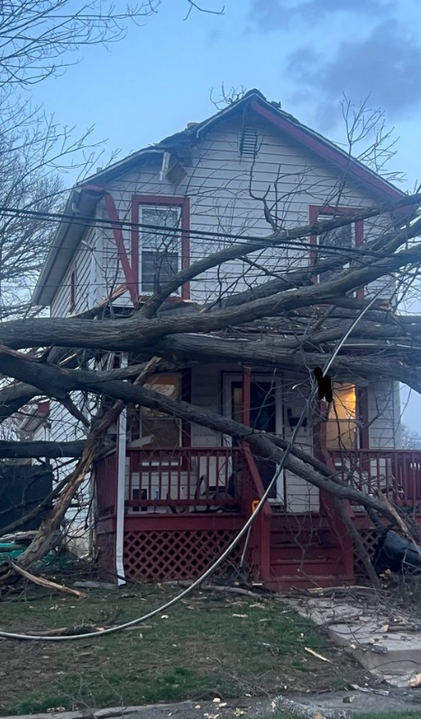 Emergency Tree Removal After a Storm | 24/7 Tree Service