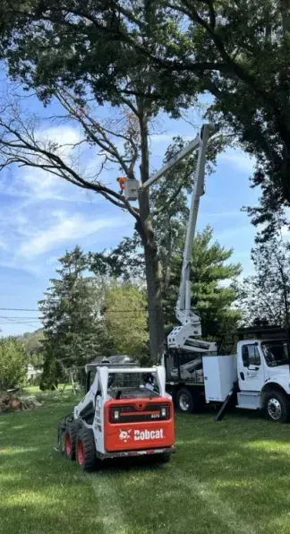 A bobcat truck is cutting a tree in a yard
