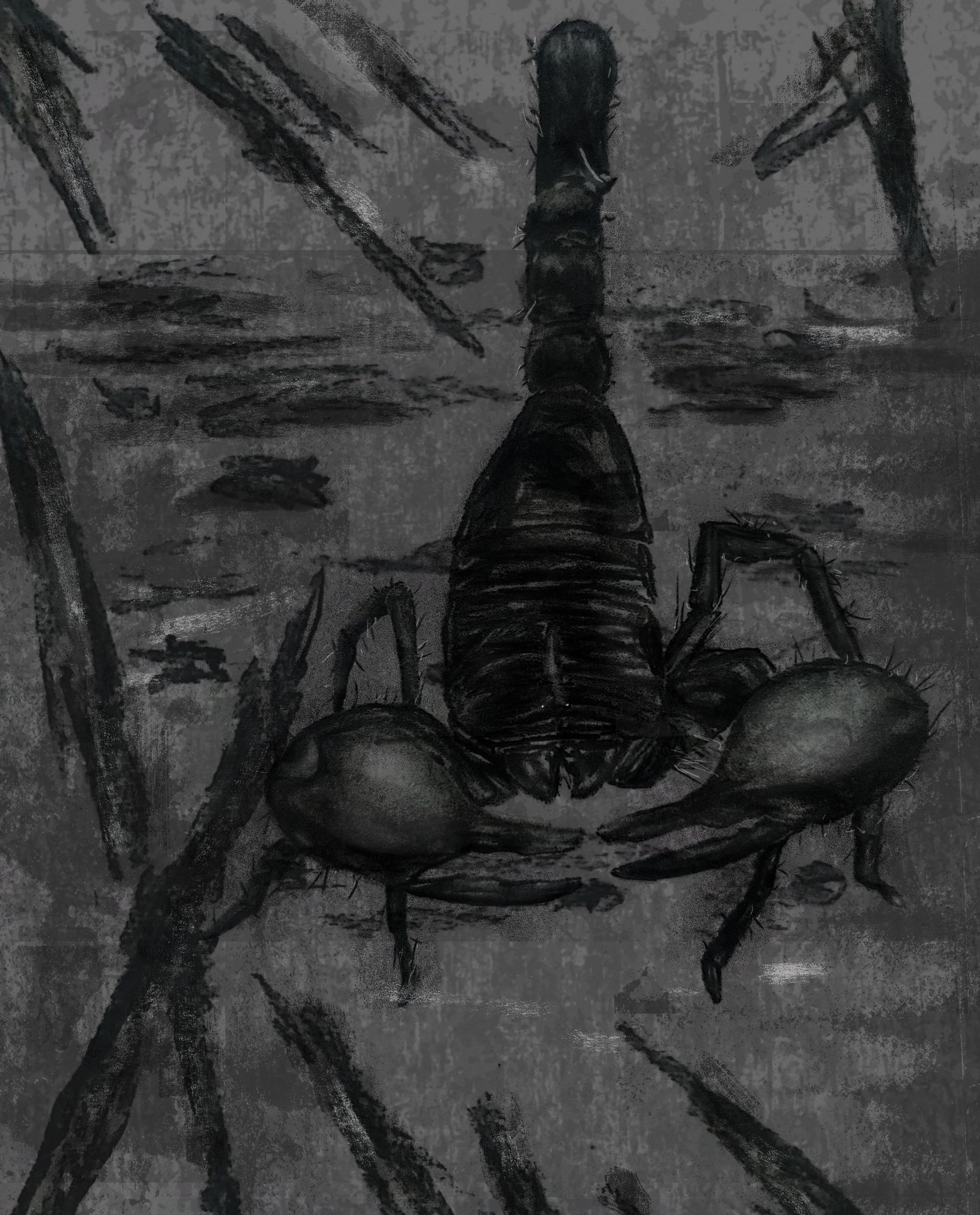 A black and white drawing of a scorpion on a tree branch.