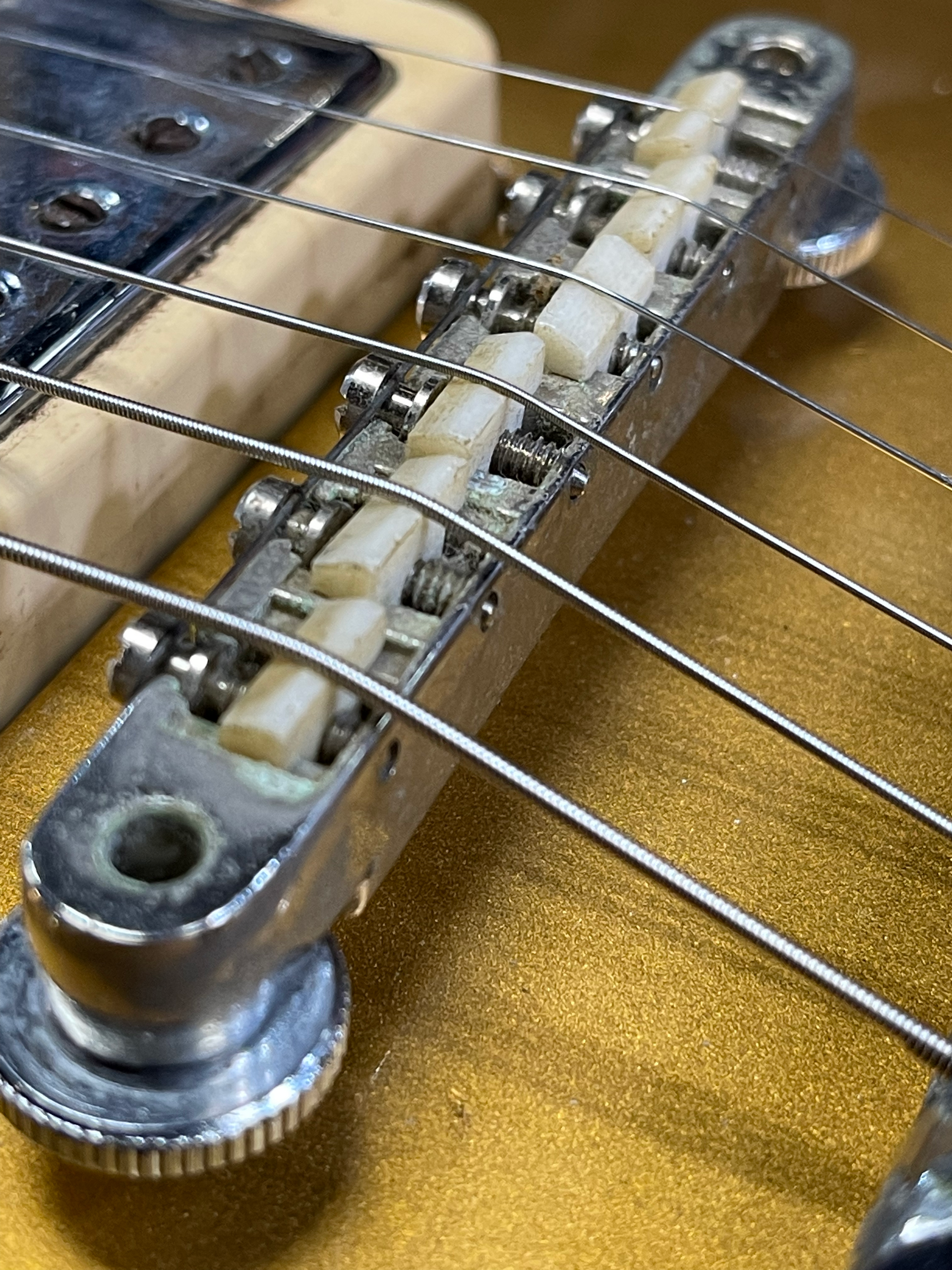 Close-up of a gold guitar bridge with strings and adjustable white saddles.