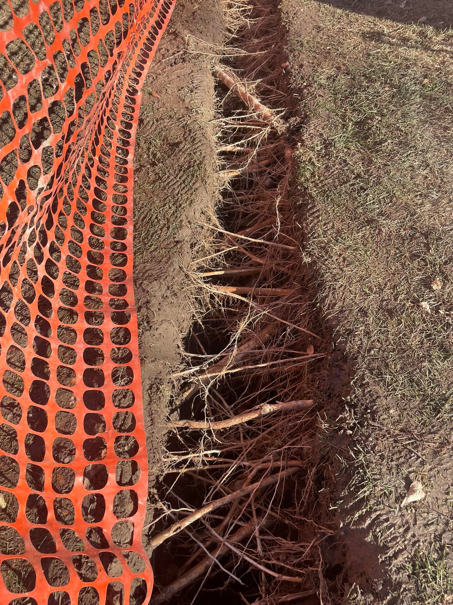 A close up of a fence with trees in the background.