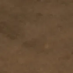 Brown textured background.