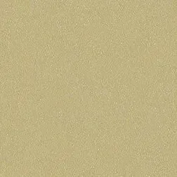 Plain, tan, textured surface.