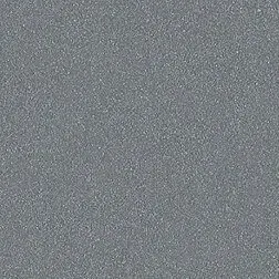 Gray, textured background with small speckles.