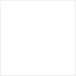 White square on a white background.