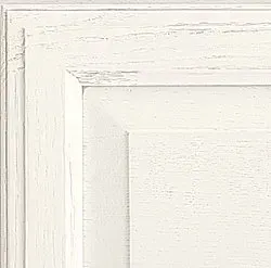 White kitchen cabinet door with paneled frame and distressed finish.