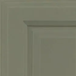 Corner of a painted wooden cabinet door. Greenish-gray with raised panel and beveled edges.