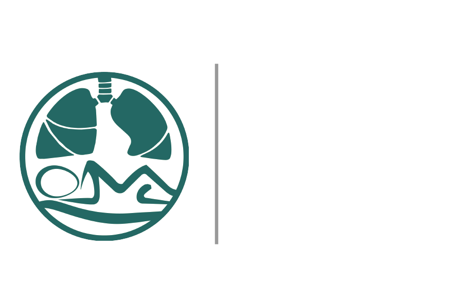The Lung and Sleep Center Logo