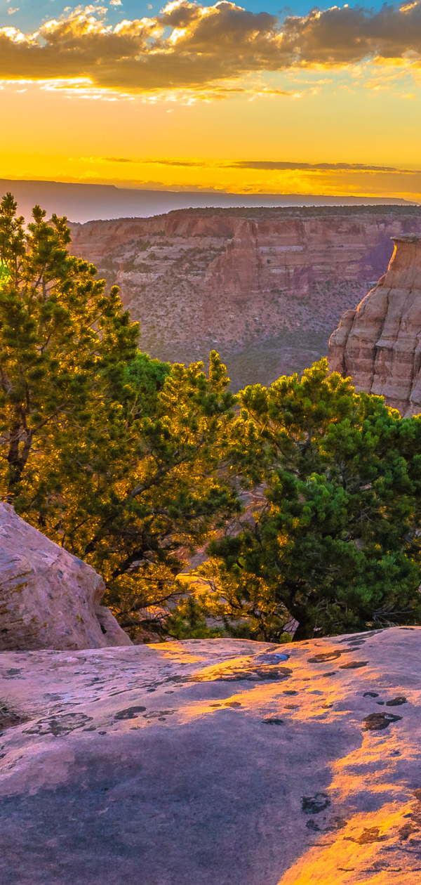 A living room with a couch and a coffee table