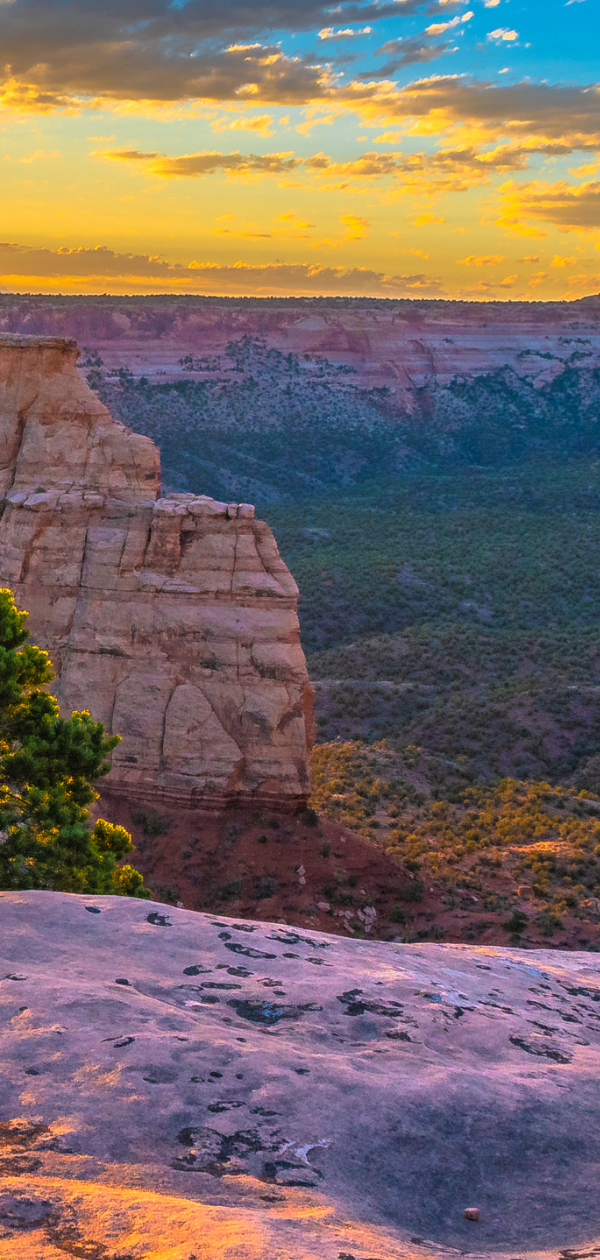 A living room with a white couch and a wooden coffee table
