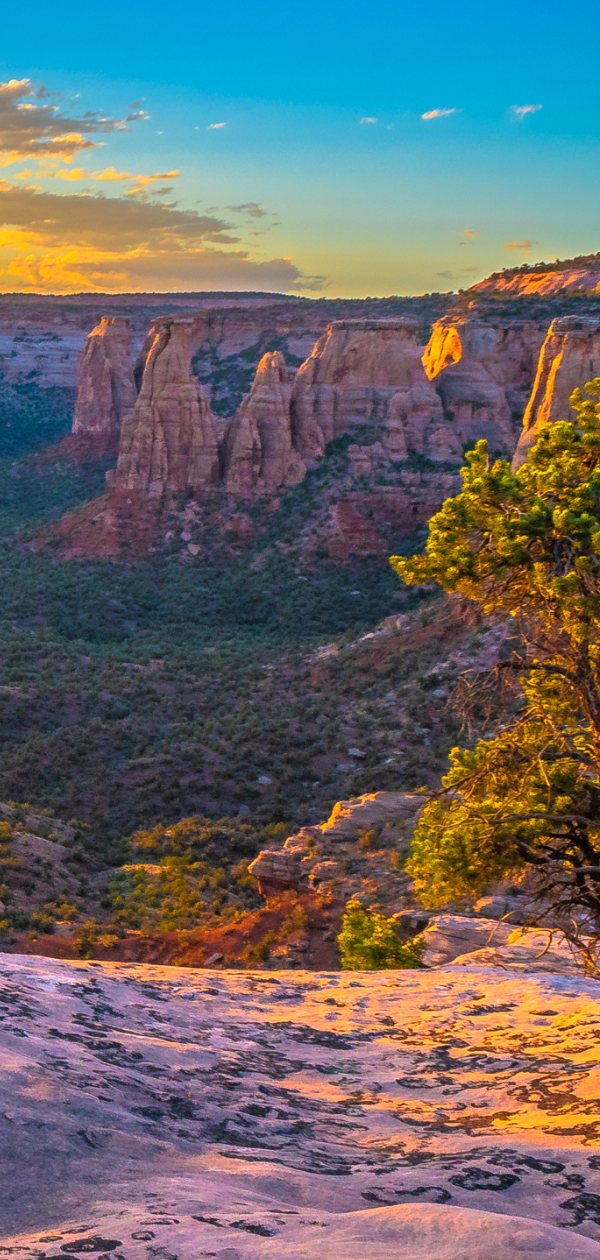 A living room with a lot of windows and a couch.