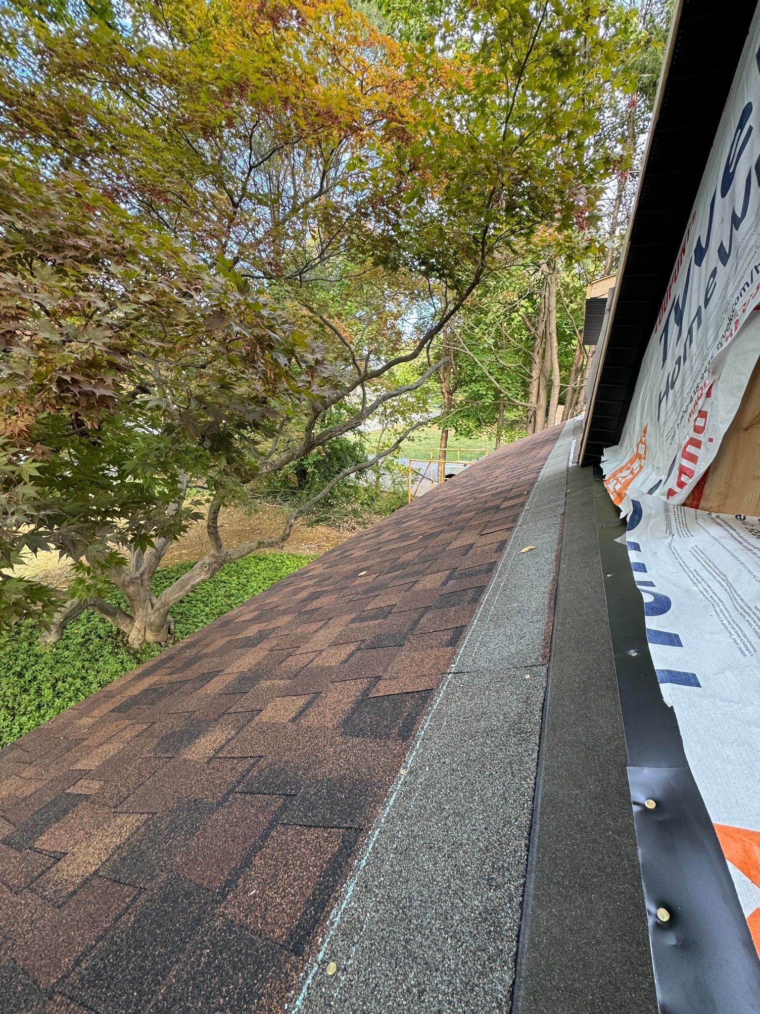 Roof edge with weathered shingles, a black strip, and tree backdrop.