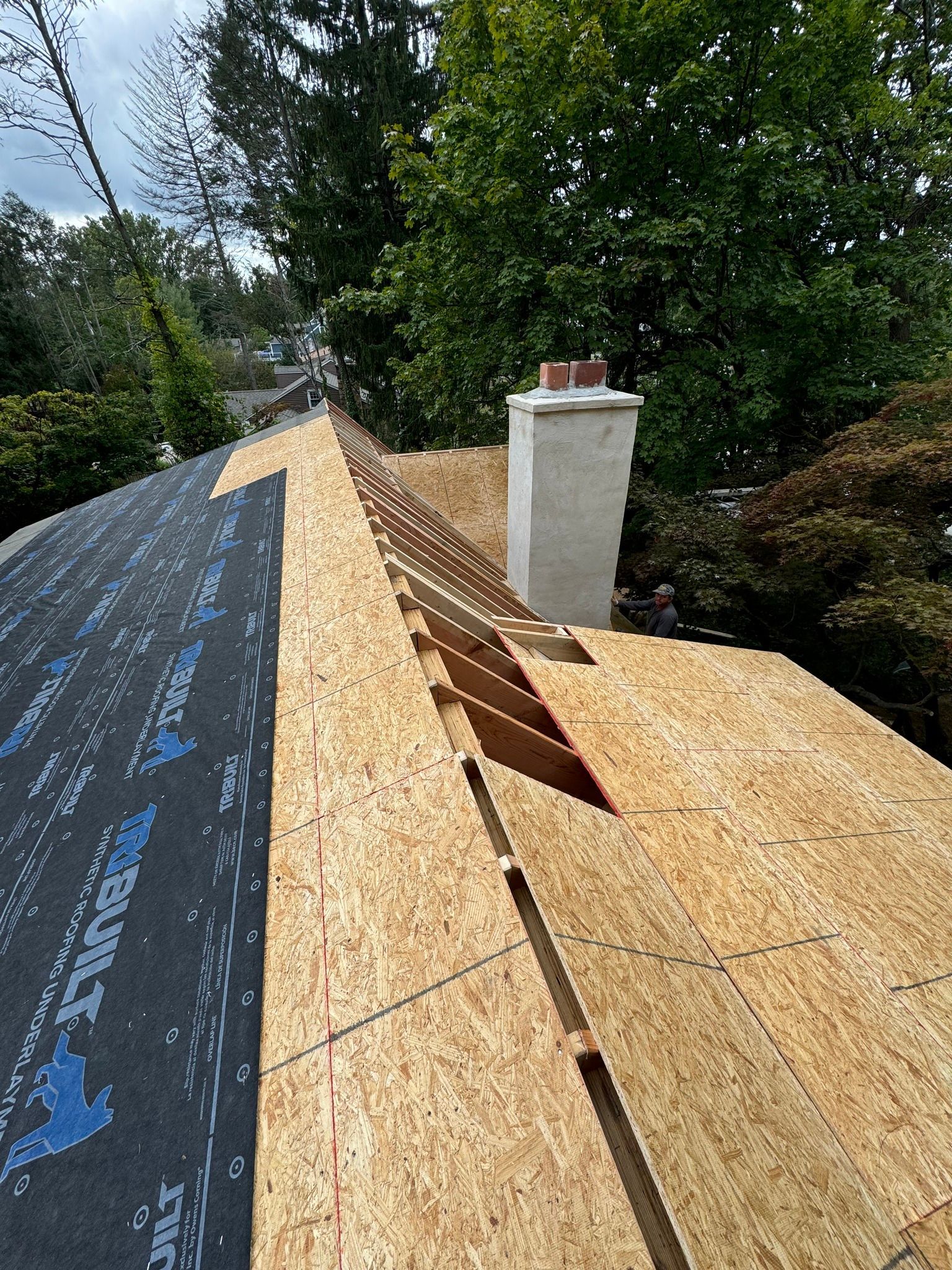 Rooftop with new wood sheathing, black underlayment, and a white chimney. Trees and sky in the background.