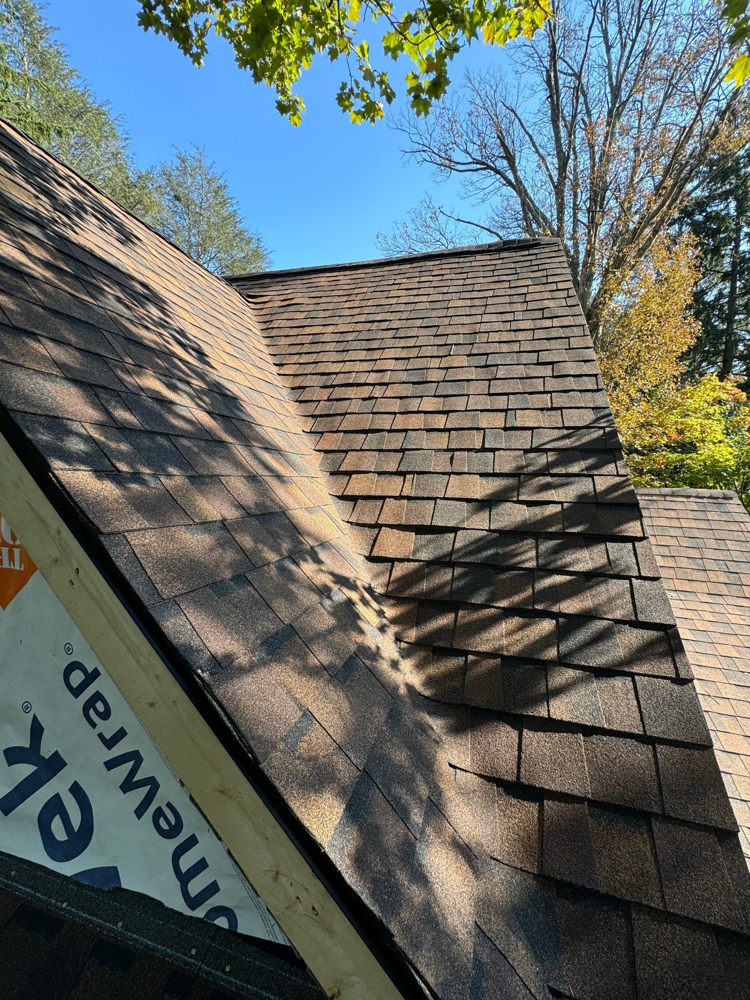 Close-up view of a shingled roof under a blue sky, with wood framing and green foliage.