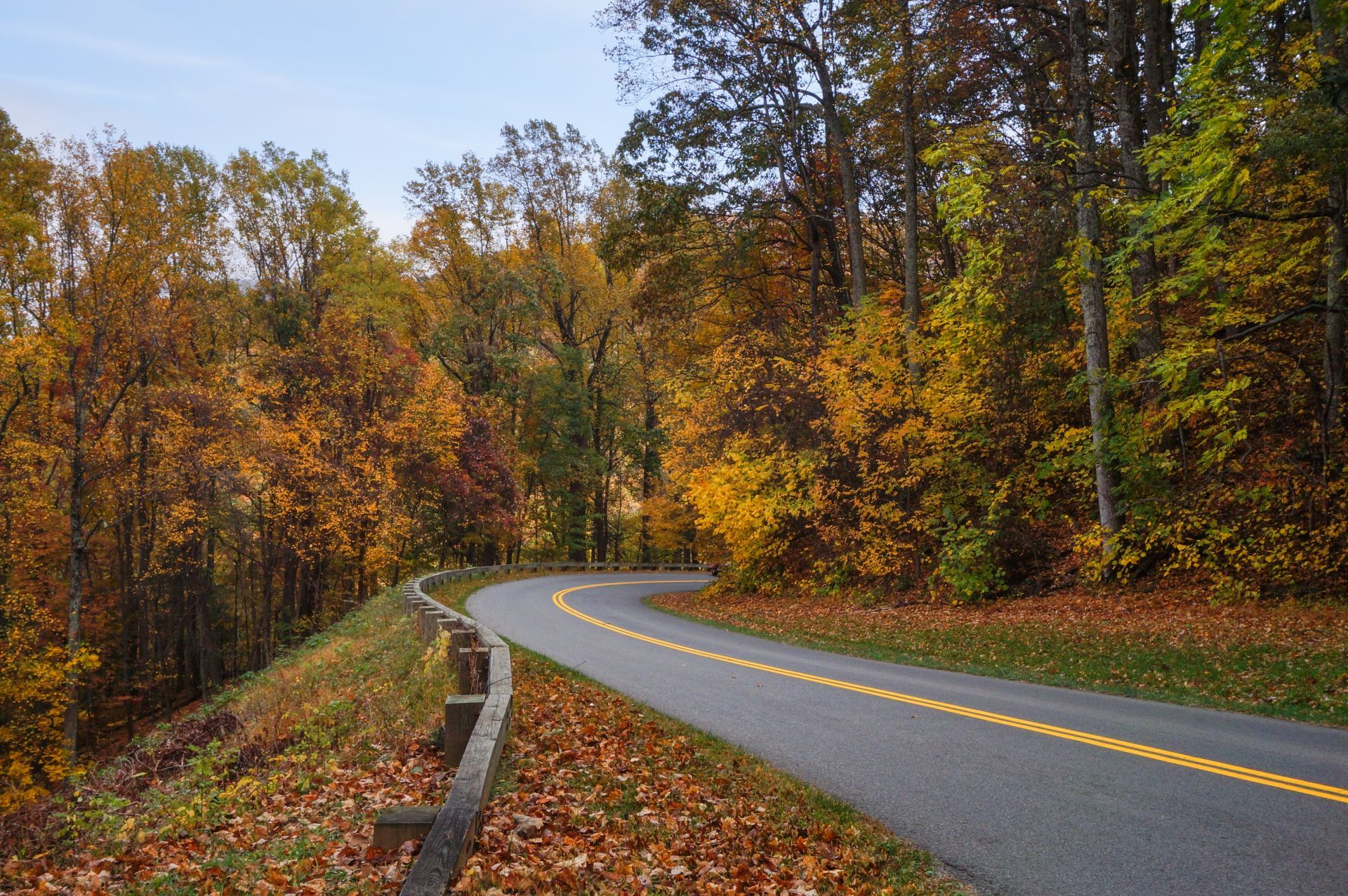 A winding road surrounded by trees in autumn