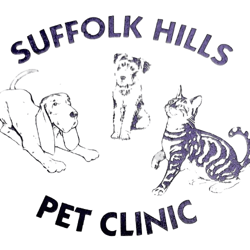 Suffolk Hills Pet Clinic