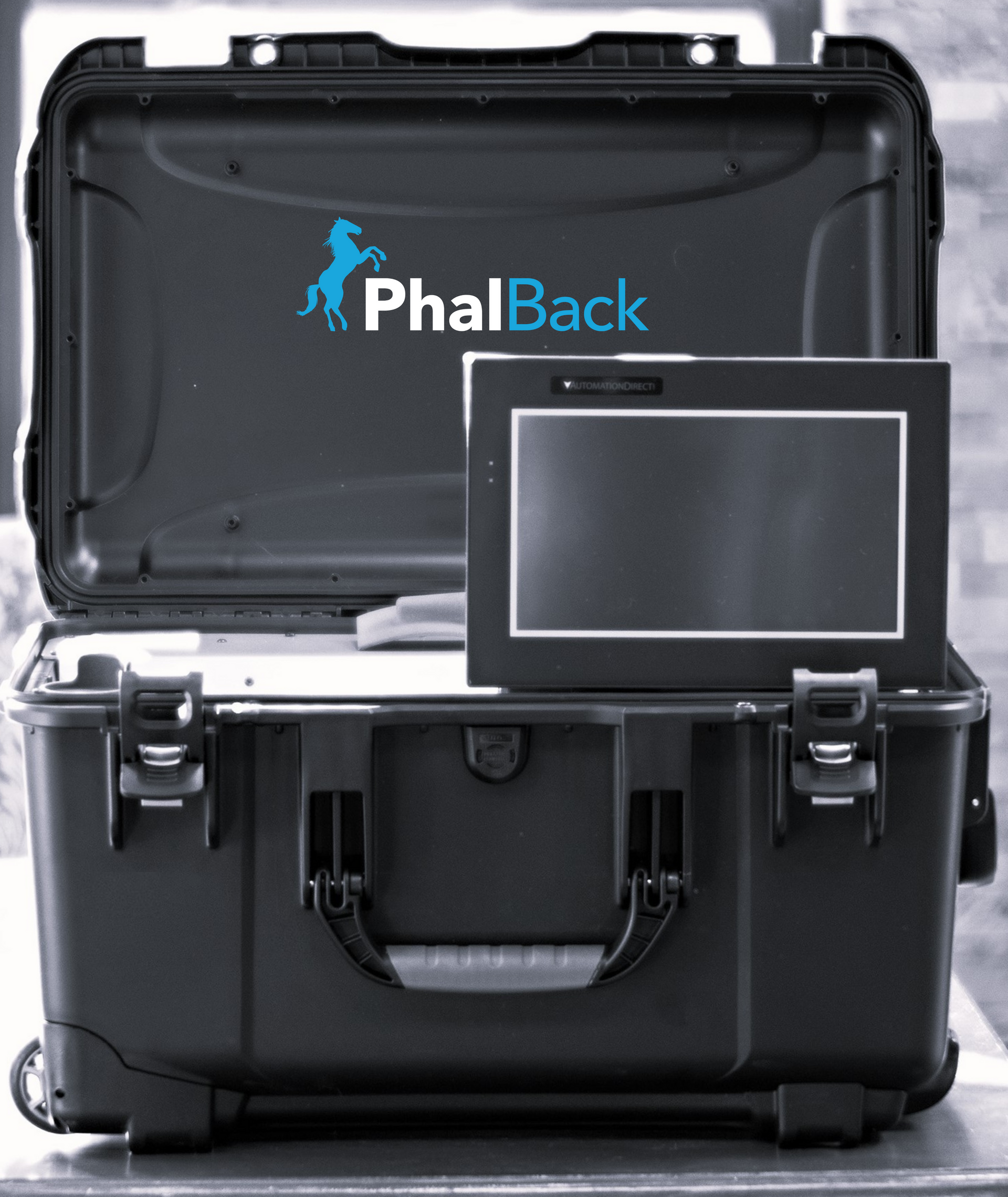 PhalBack Process