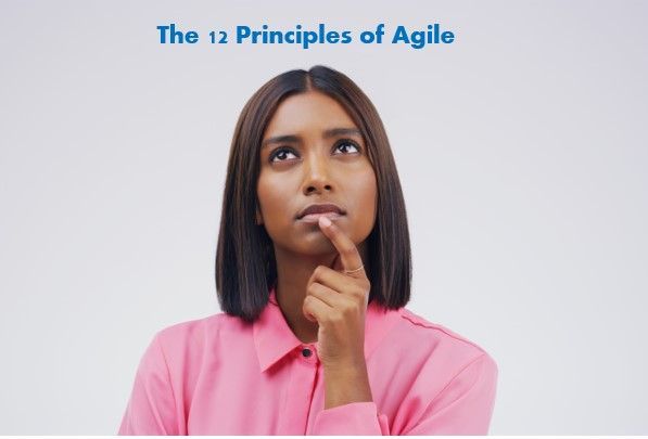 The 12 Principles of Agile