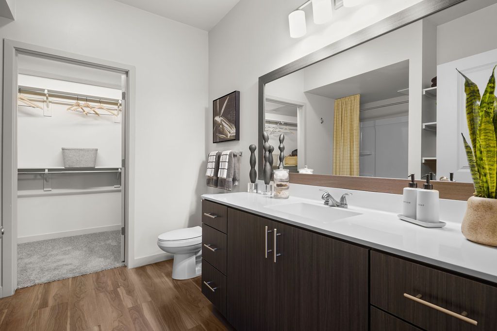 Bathroom with double-sink vanity, large mirror, and walk-in closet visible through an open doorway.