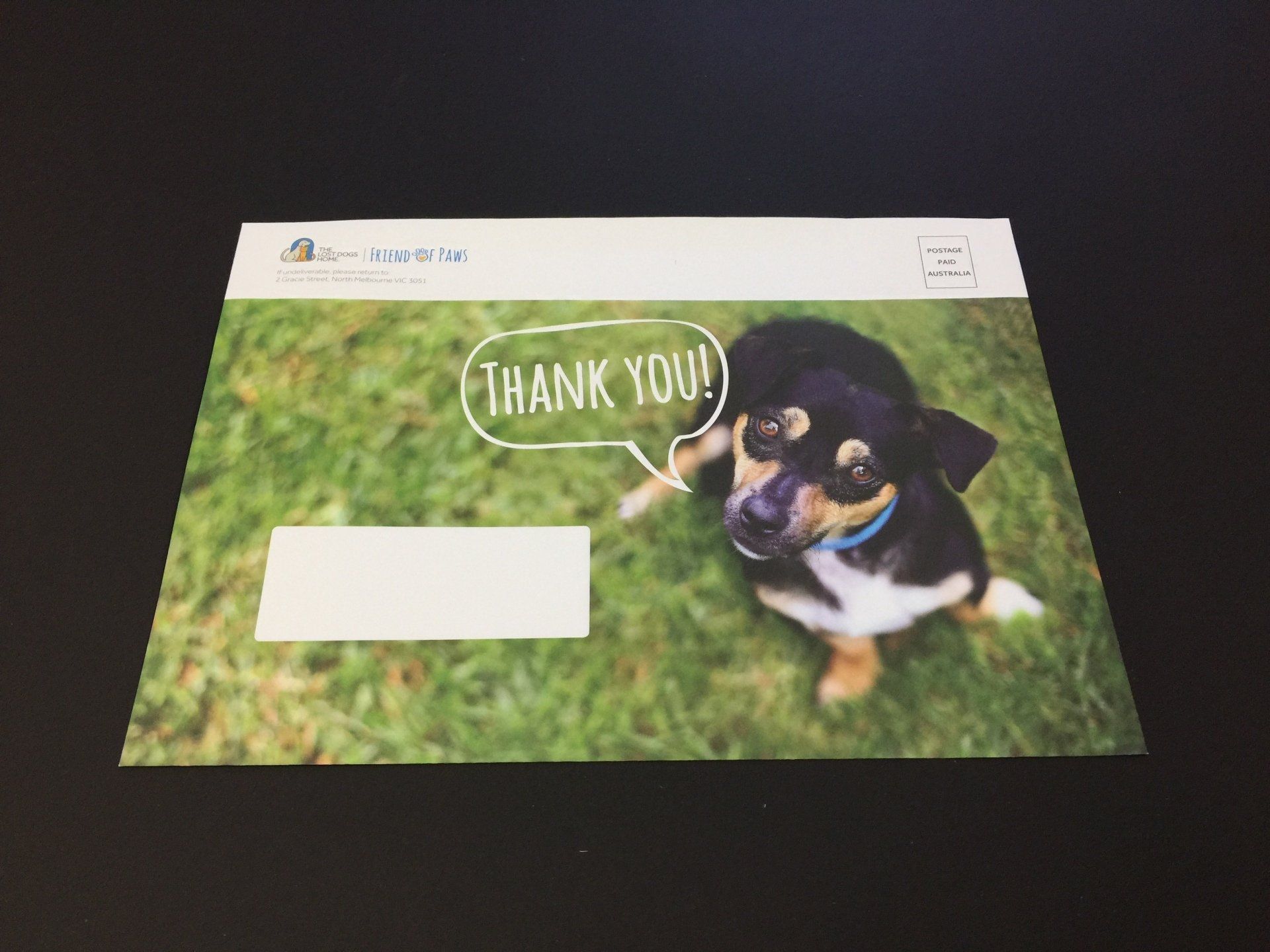 a thank you envelope with a picture of a dog