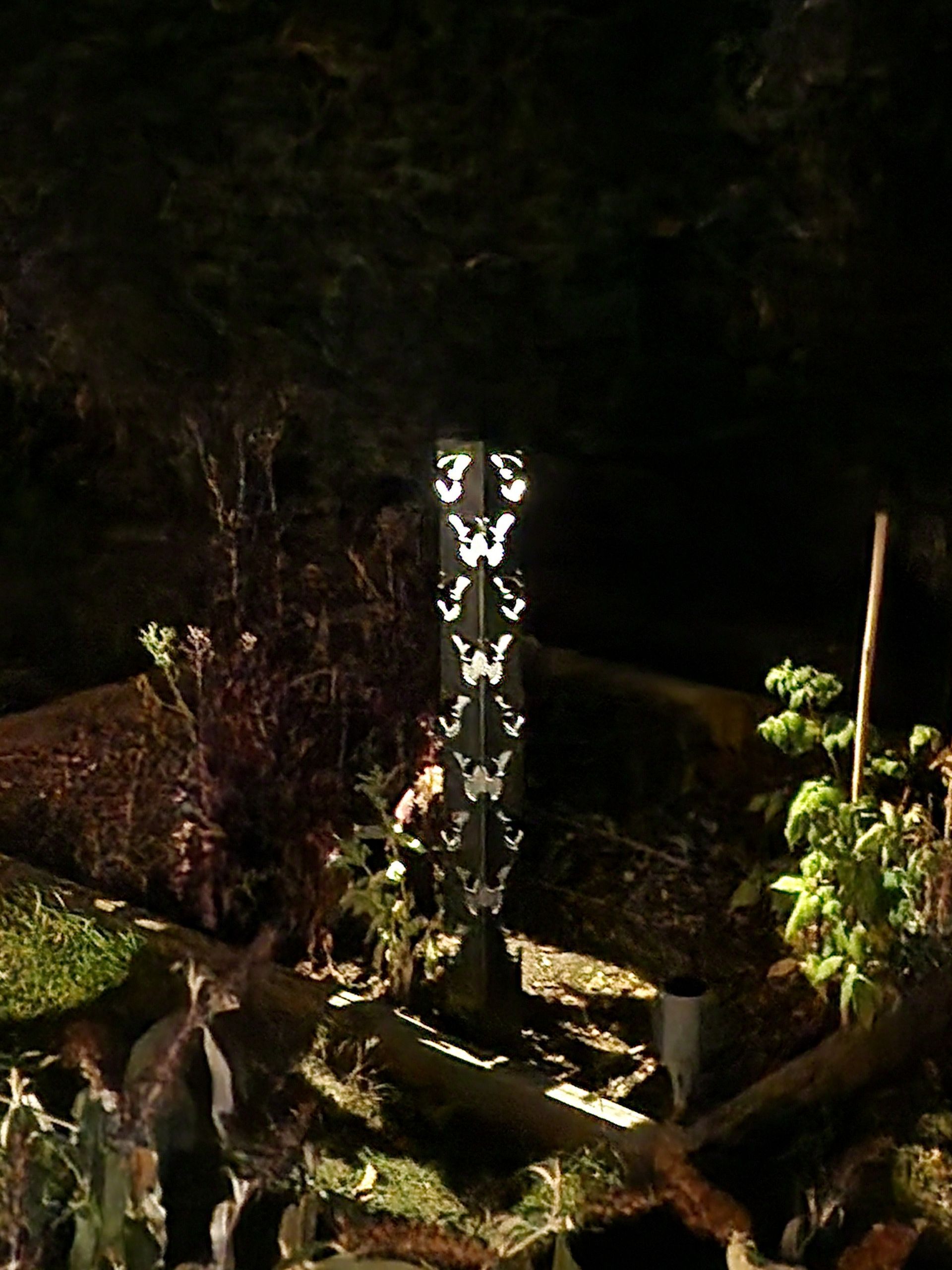 Butterfly Illuminated Garden Pole