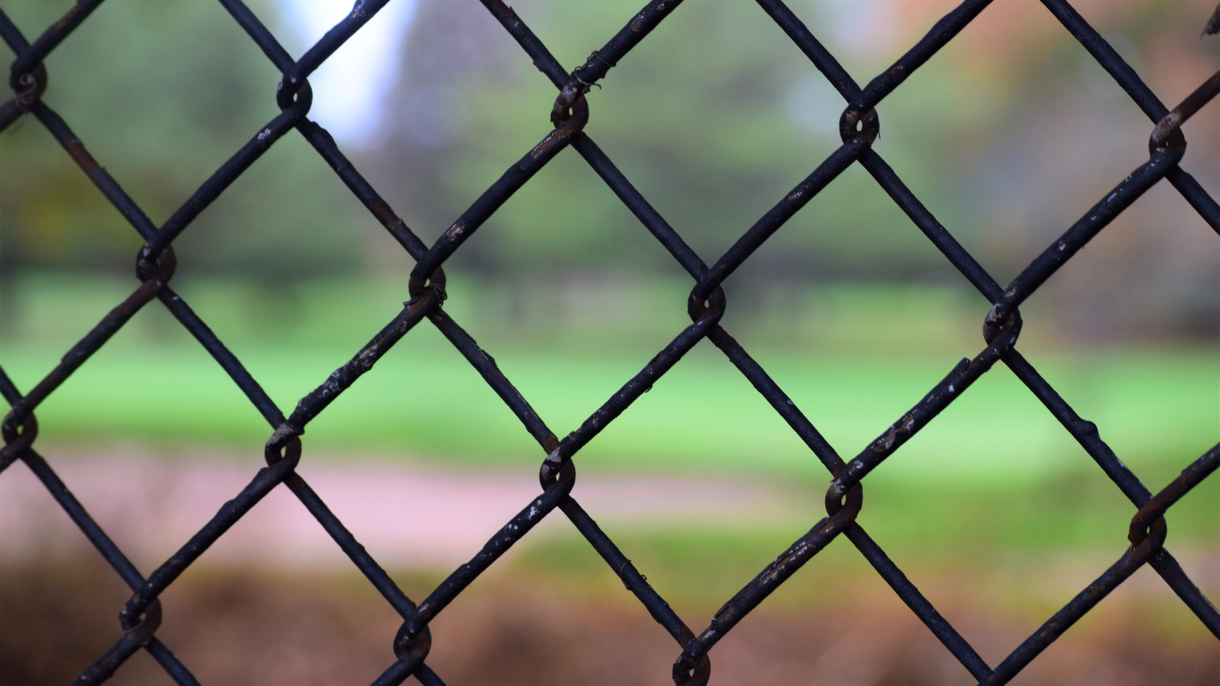 Chain-link fence with blurred green field and brown ground in the background.