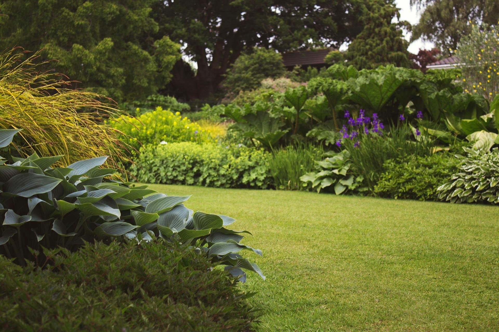Lush green garden with a manicured lawn, dense shrubs, and purple flowers under tall trees
