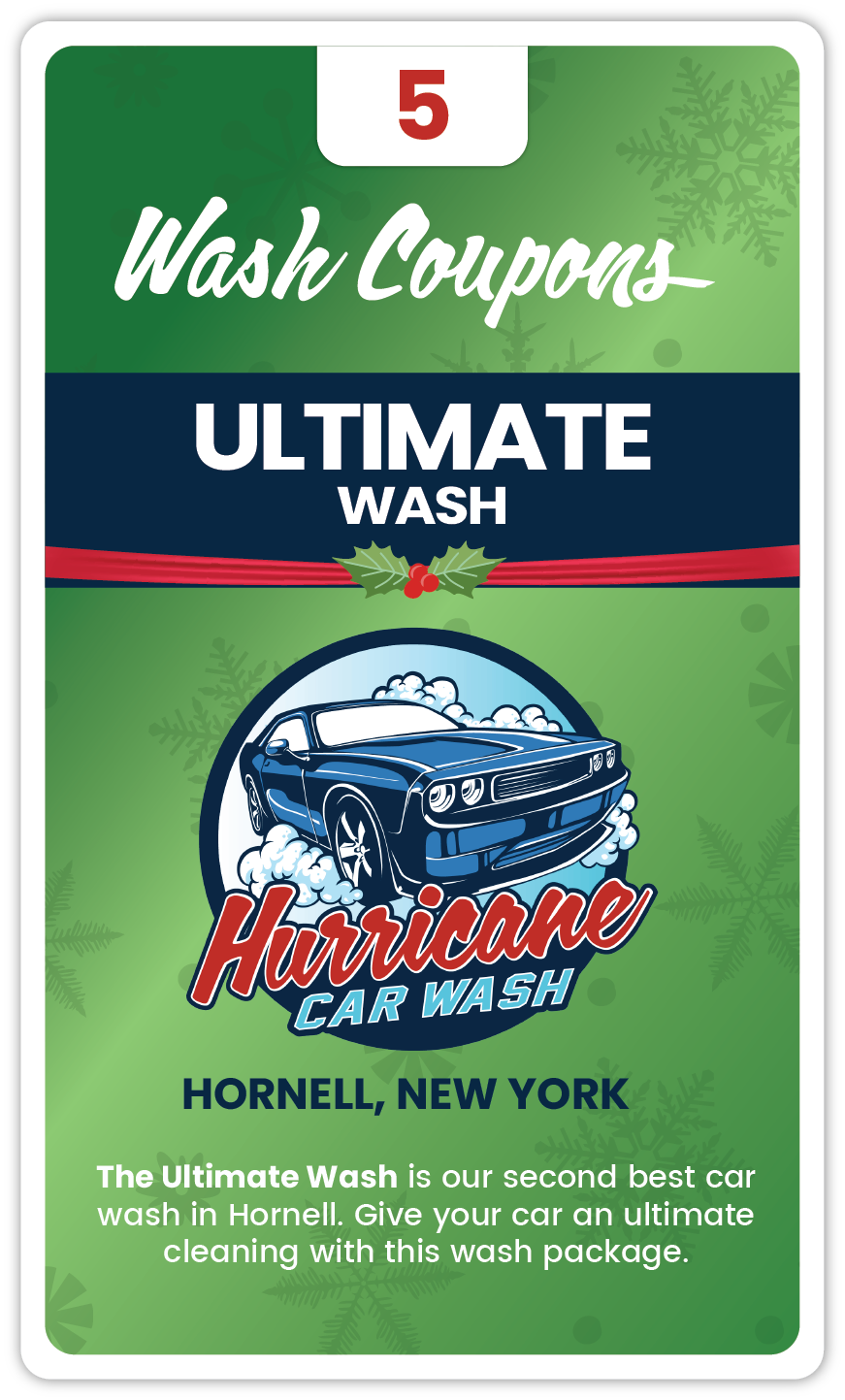 HORNELL - HOLIDAY 5 Pack Ultimate Wash Book