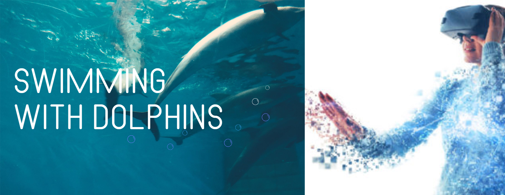 Nuotare con i delfini realtà virtuale