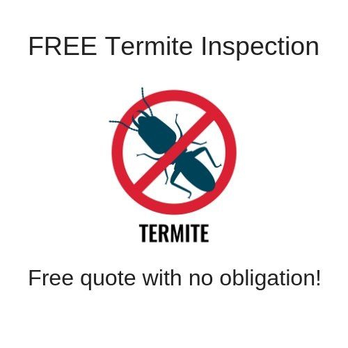 free termite inspection