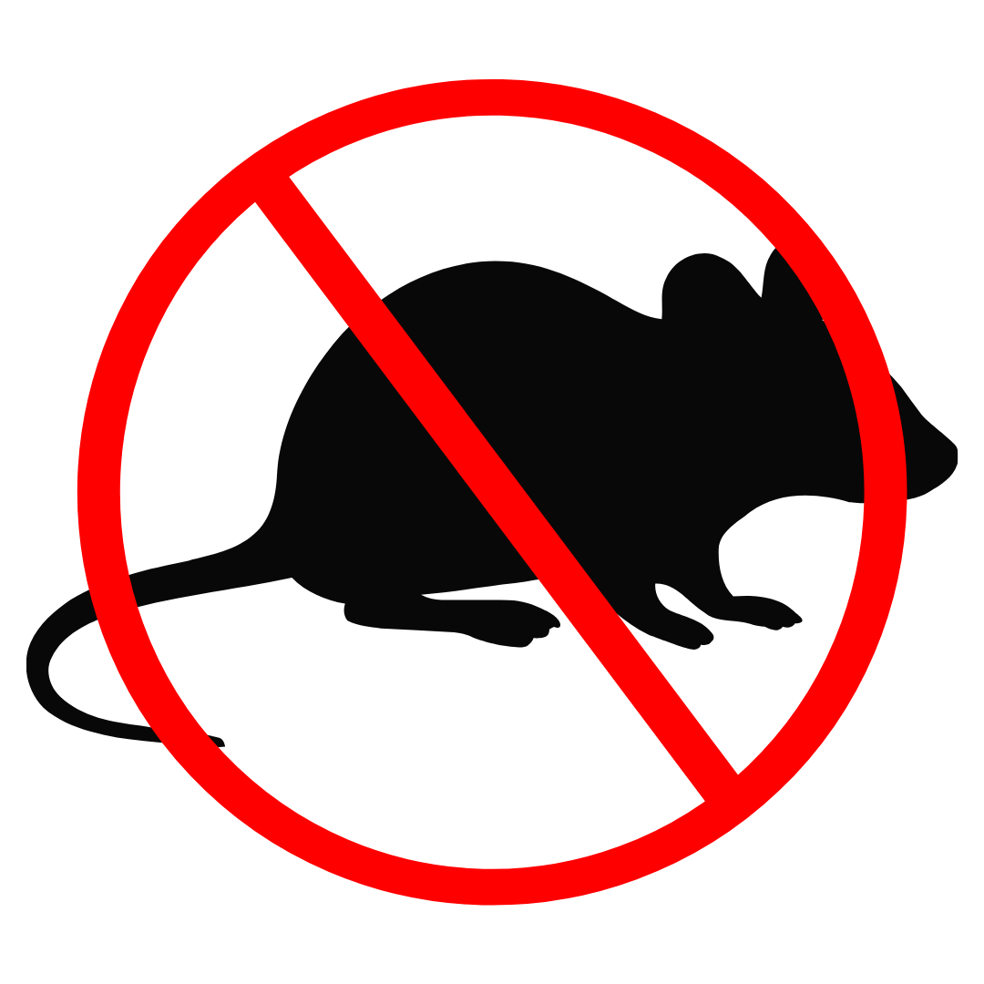 A black silhouette of an ant inside a red circle with a diagonal slash through it, symbolizing a prohibition of ants.