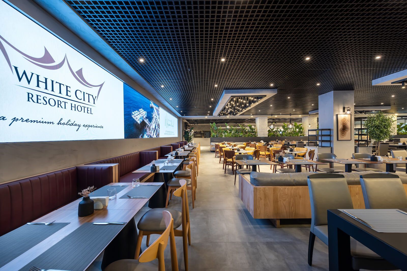 White City Hotels
