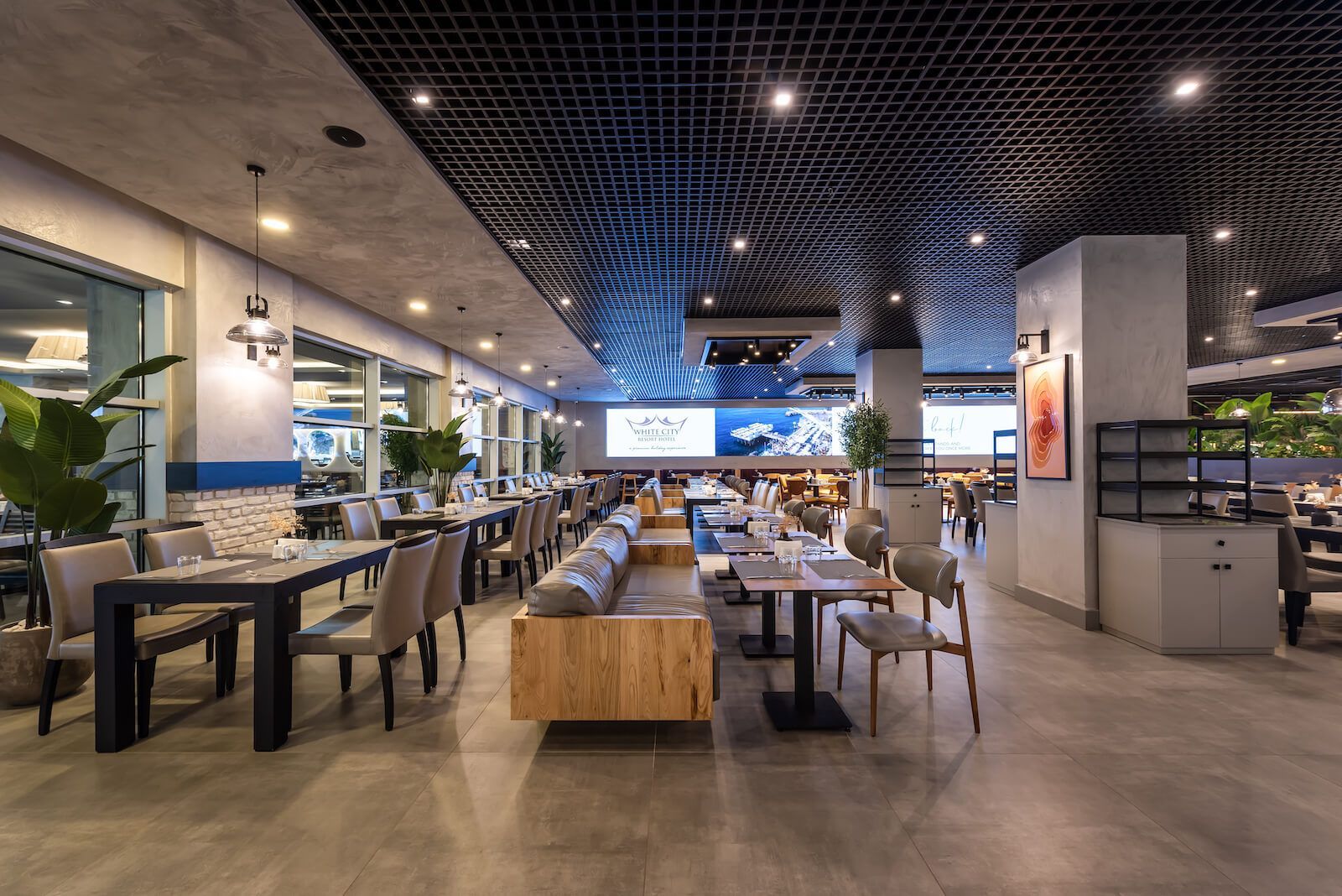 White City Hotels