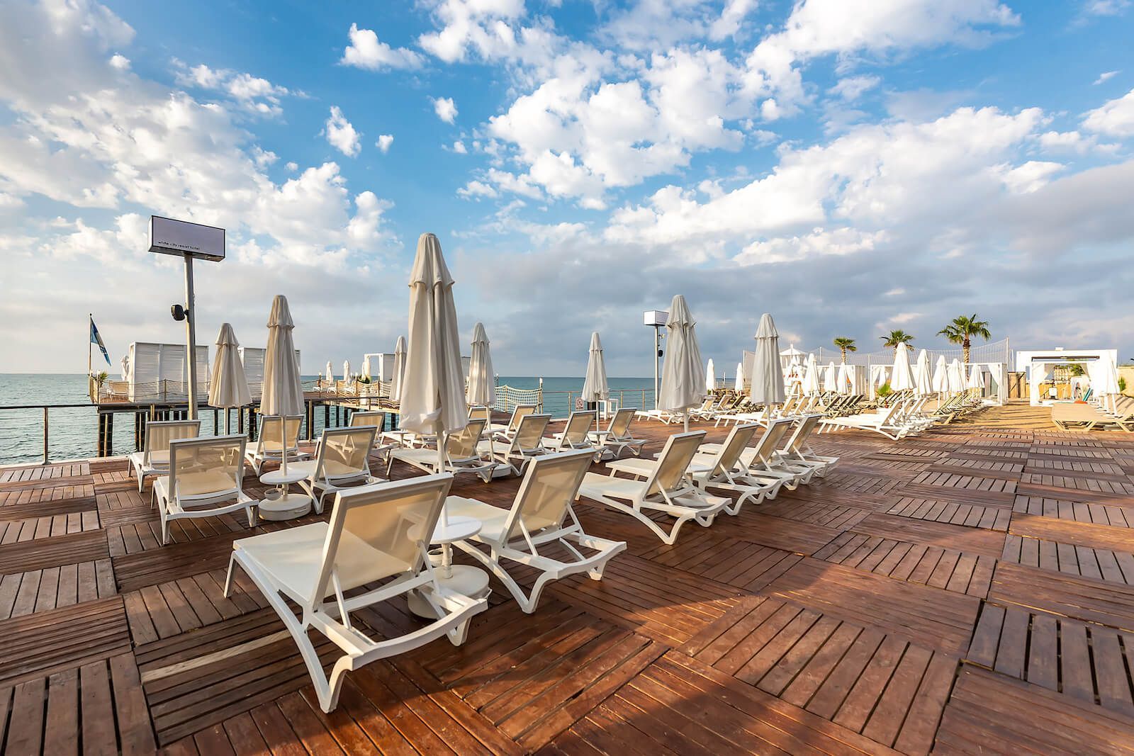 White City Hotels
