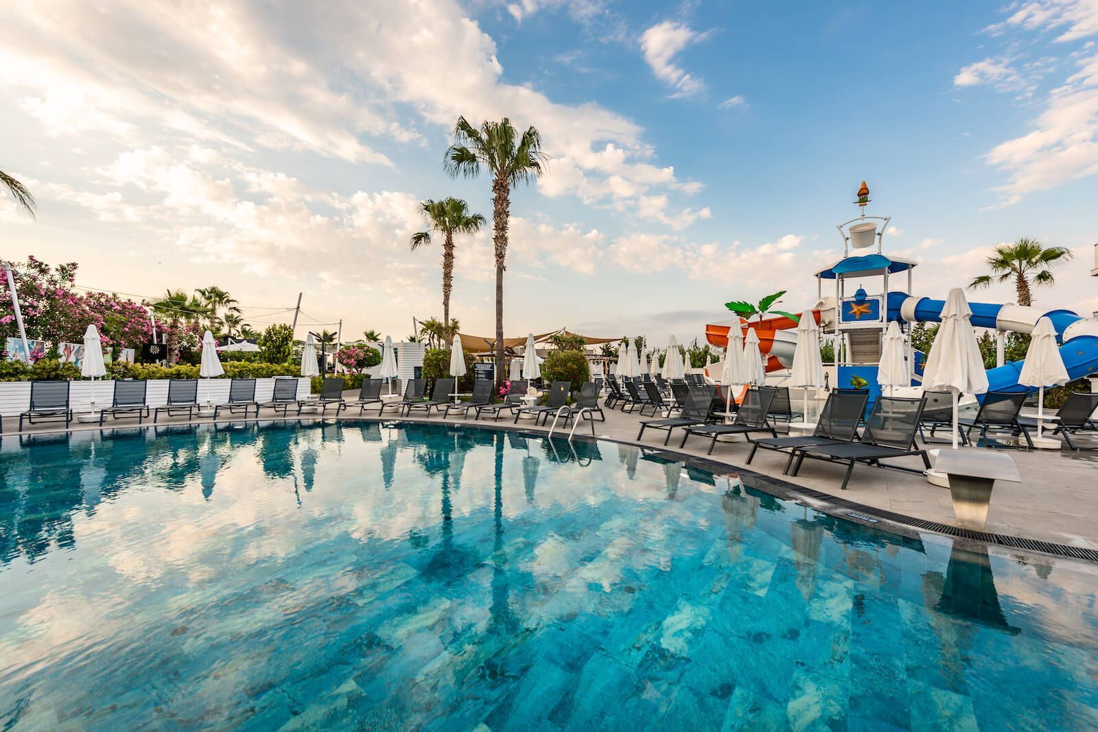 White City Hotels